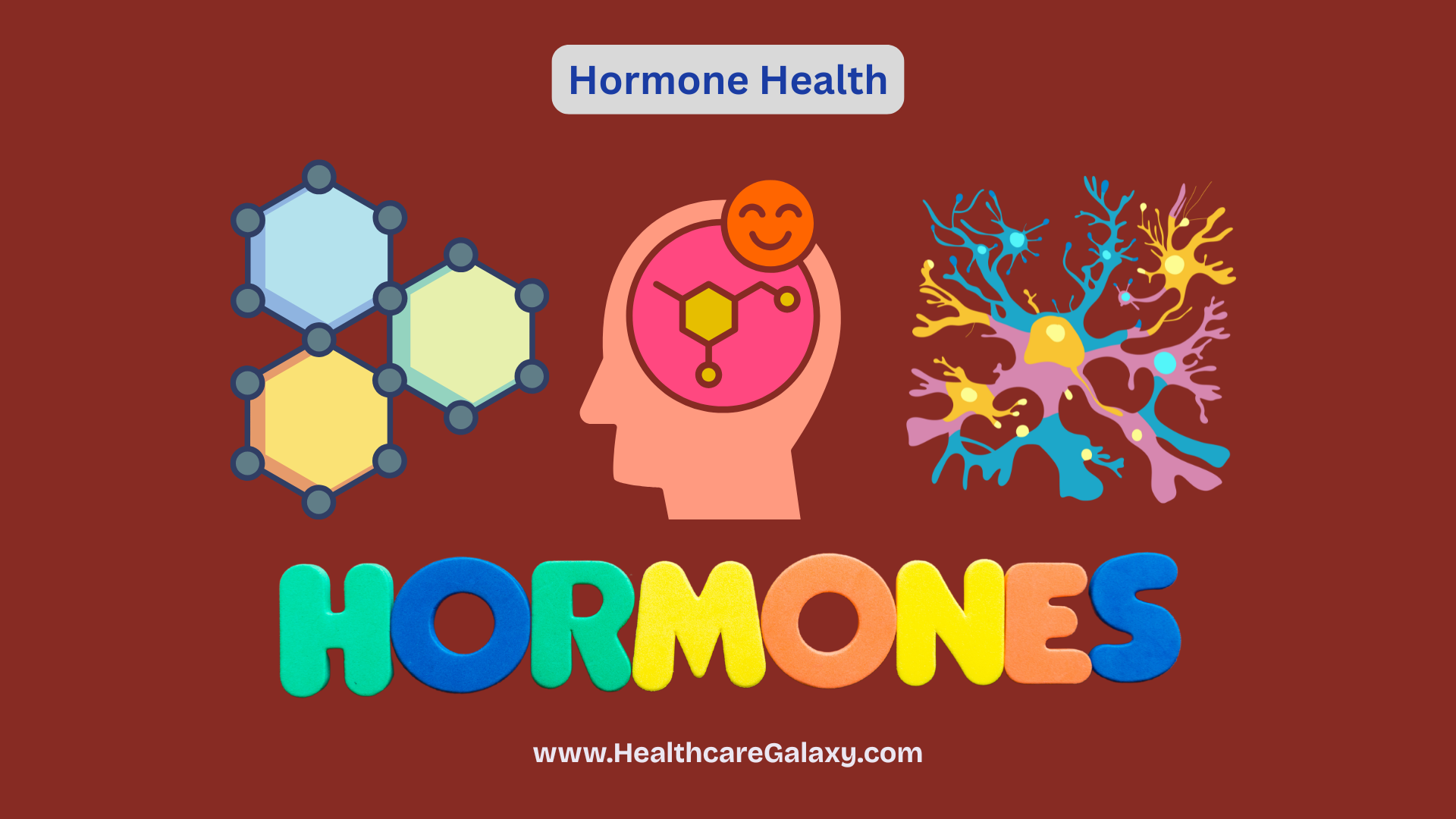 Unlock Vibrant Health with a Simple Hormone Health Screening