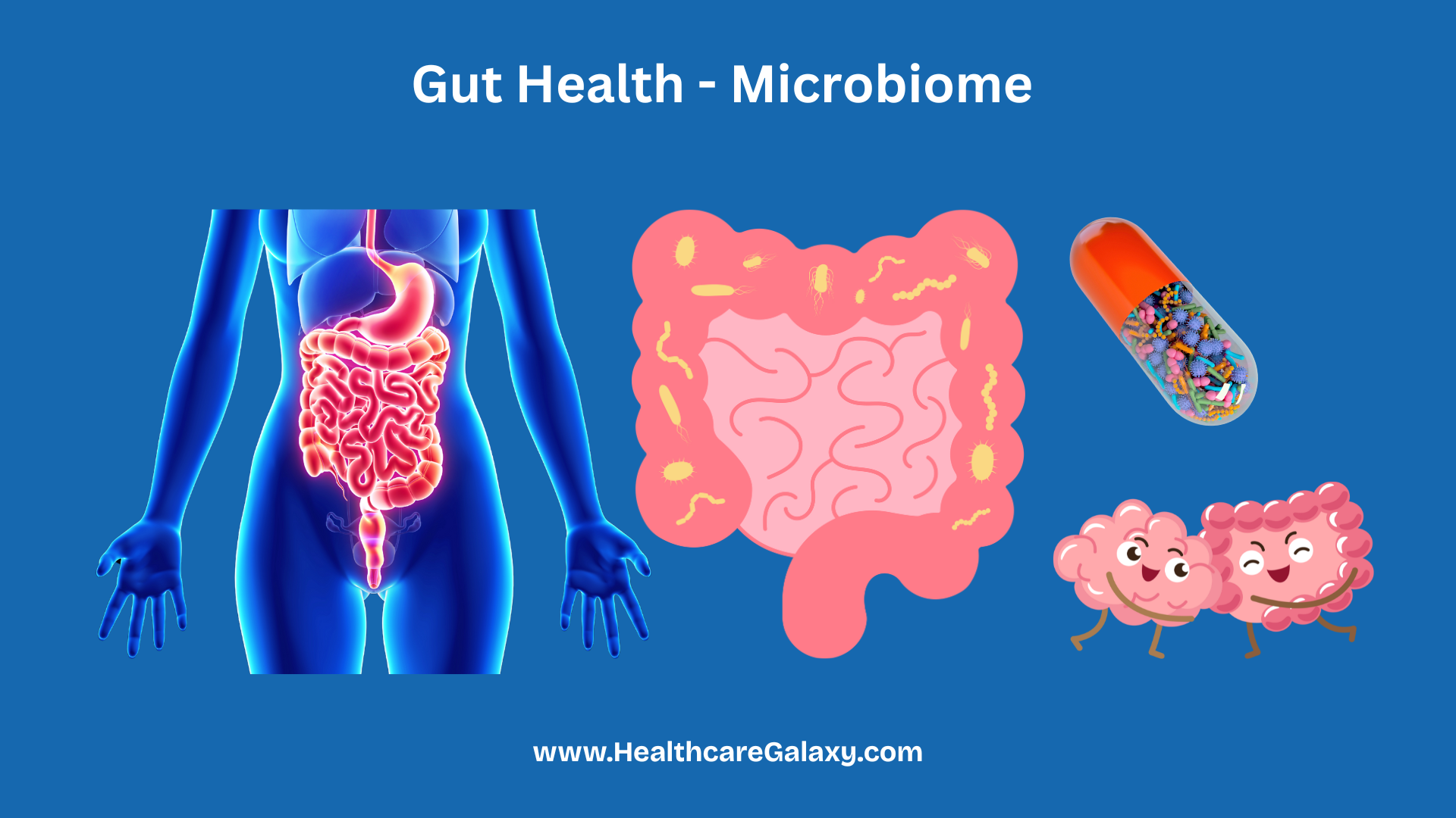 Gut Health Microbiome Revolution